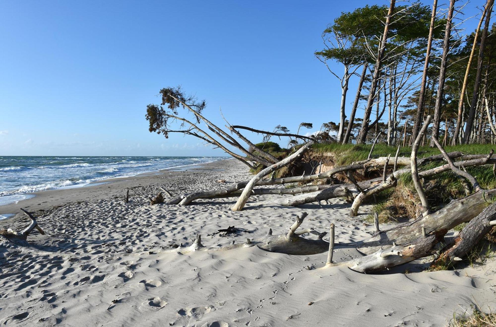 Meeresbrise Im Ostseeheilbad